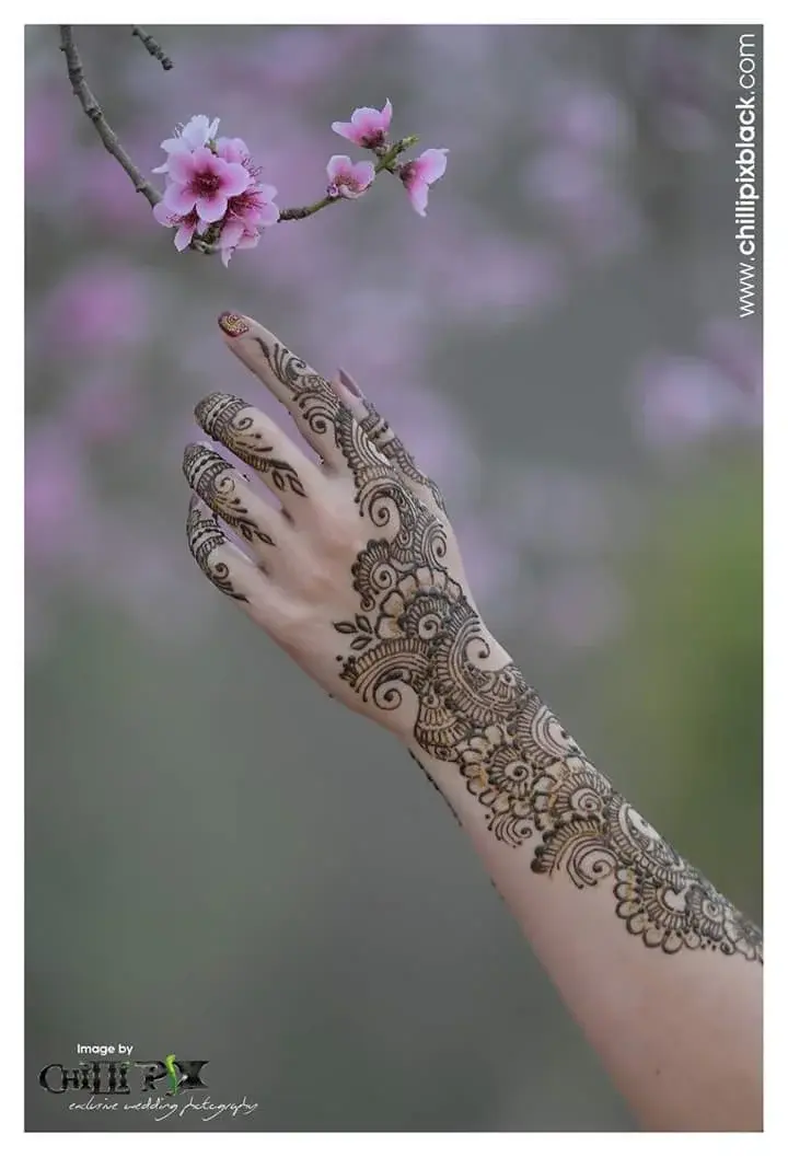 Elegant detailed bridal mehndi on single hand reaching toward cherry blossom branch, professional portrait photography